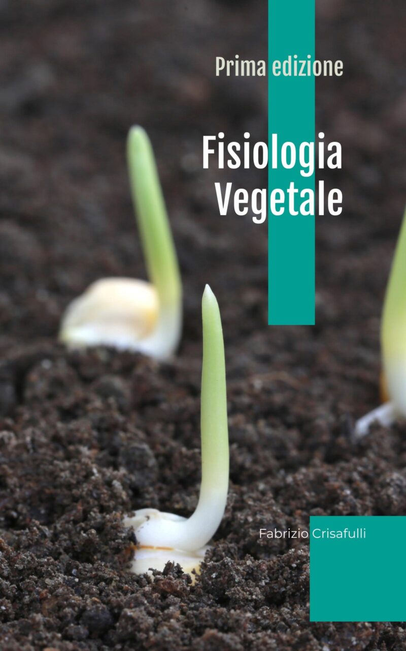 Quaderno di Fisiologia vegetale